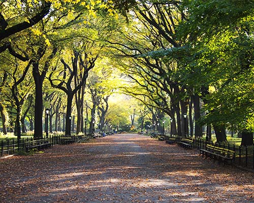 Central Park promenade