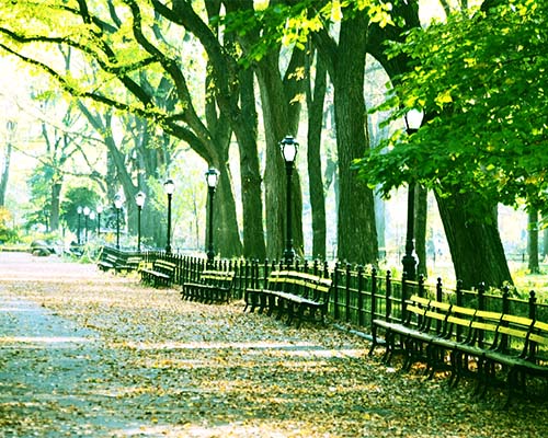 Central Park