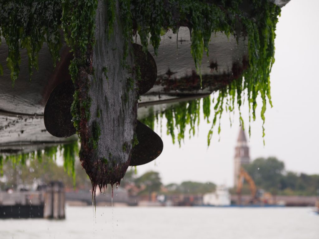 Venice detail